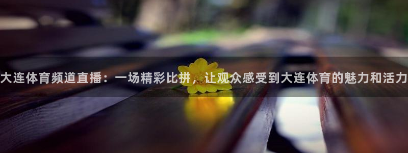 大连体育频道直播：一场精彩比拼，让观众感受到大连体育的魅力和活力