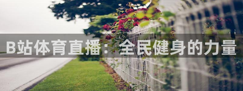 B站体育直播：全民健身的力量