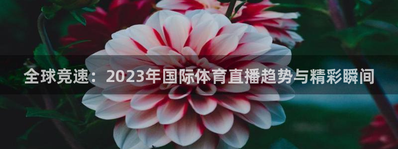 全球竞速：2023年国际体育直播趋势与精彩瞬间