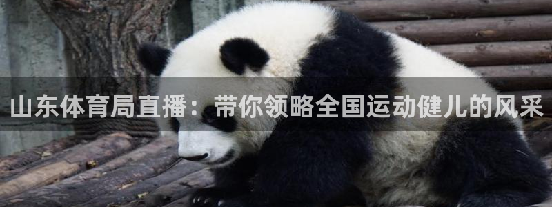 山东体育局直播：带你领略全国运动健儿的风采