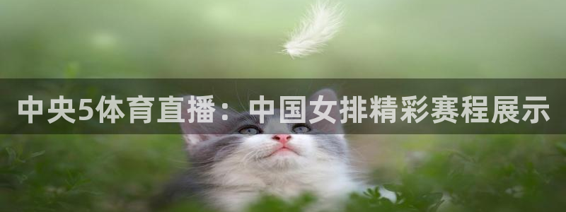 中央5体育直播：中国女排精彩赛程展示